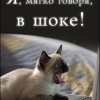 Оорельцев Дима