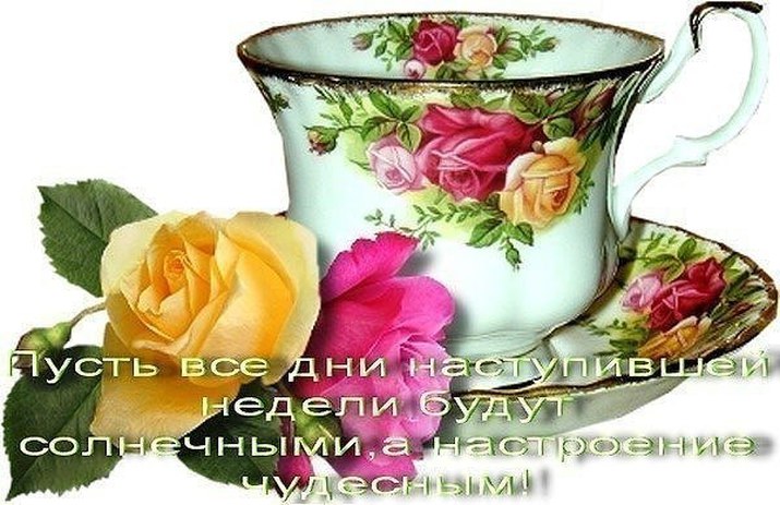 http://fs10.familyspace.ru/images/photo/95/9585/95851930/p_7bed8719.jpg